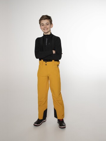 PROTEST Regular Sports trousers 'BORK JR' in Yellow