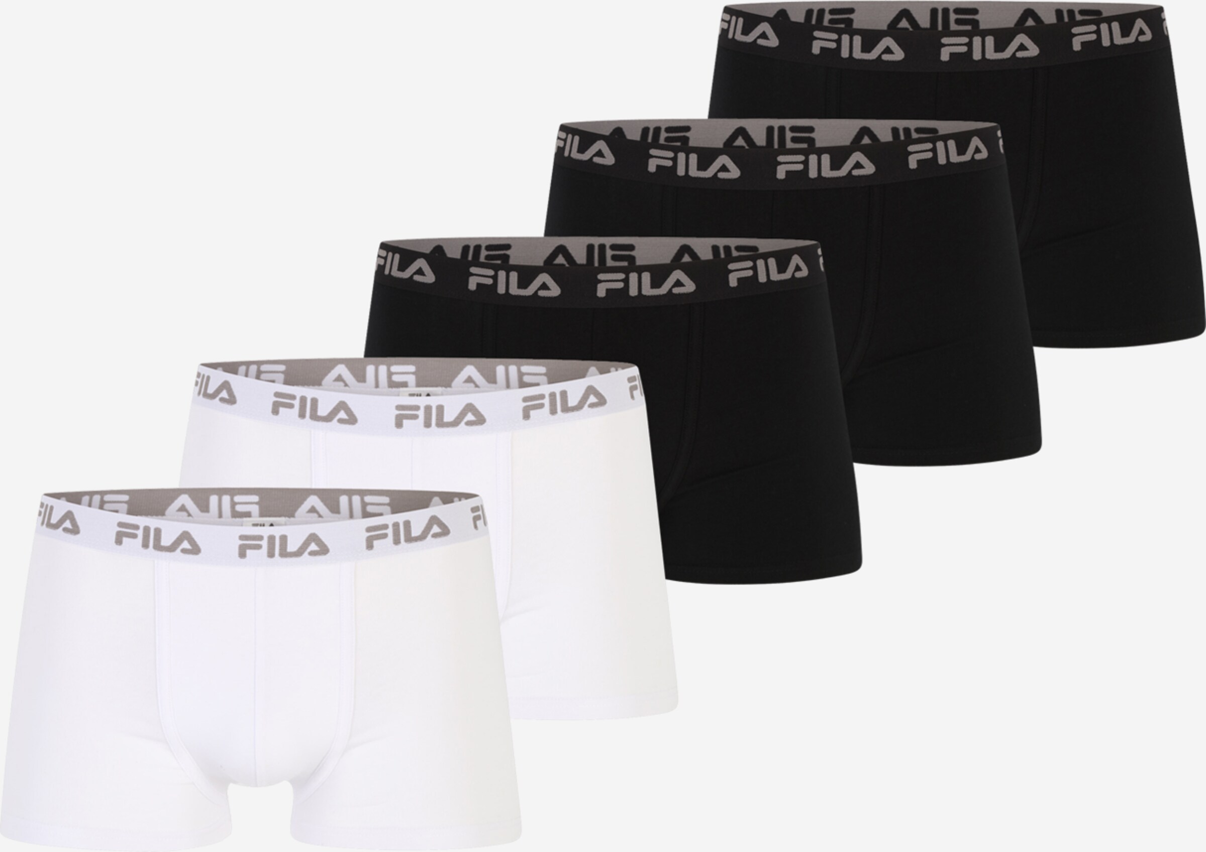 FILA Boxeri