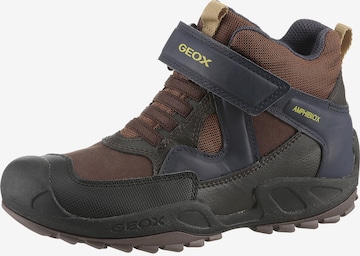 GEOX Stiefel in Braun: Vorderseite