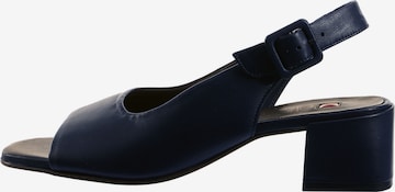 Högl Sandals 'Klara' in Blue: front