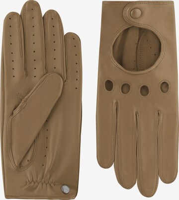 Gants 'ROM AUTOFAHRER' Roeckl en marron : devant