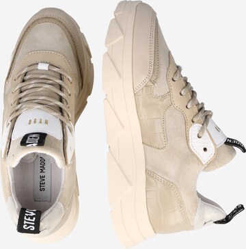 STEVE MADDEN Sneakers 'PITTY' in Beige