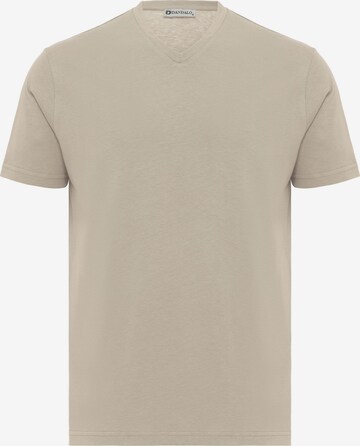 Dandalo T-Shirt in Grau: predná strana