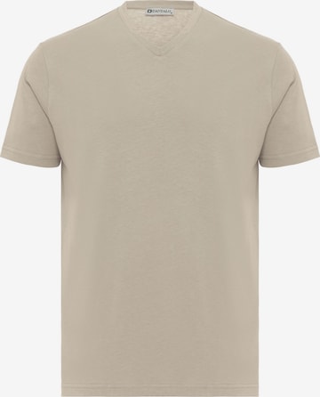 pilka Dandalo Marškinėliai: priekis