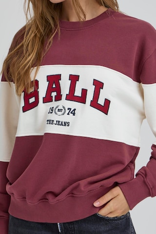 Ball Sweatshirt 'Montana' i brun