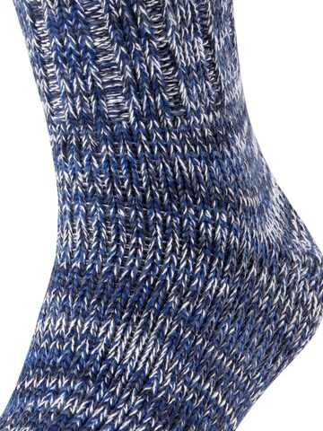 FALKE Socks 'Brooklyn' in Blue