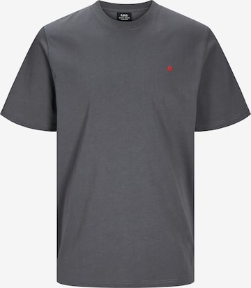 R.D.D. ROYAL DENIM DIVISION Футболка 'RDDROAD' в Серый: спереди