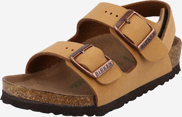 BIRKENSTOCK Sandals & Slippers in Brown: front