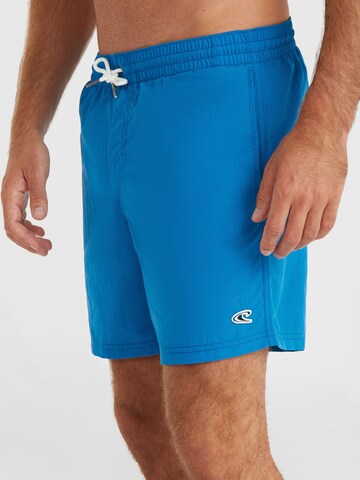 Boardshorts 'Vert' O'NEILL en bleu