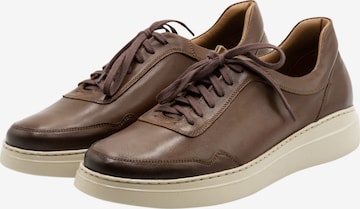 MO Sneakers in Brown