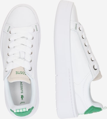 LACOSTE Sneakers laag 'CARNABY' in Wit