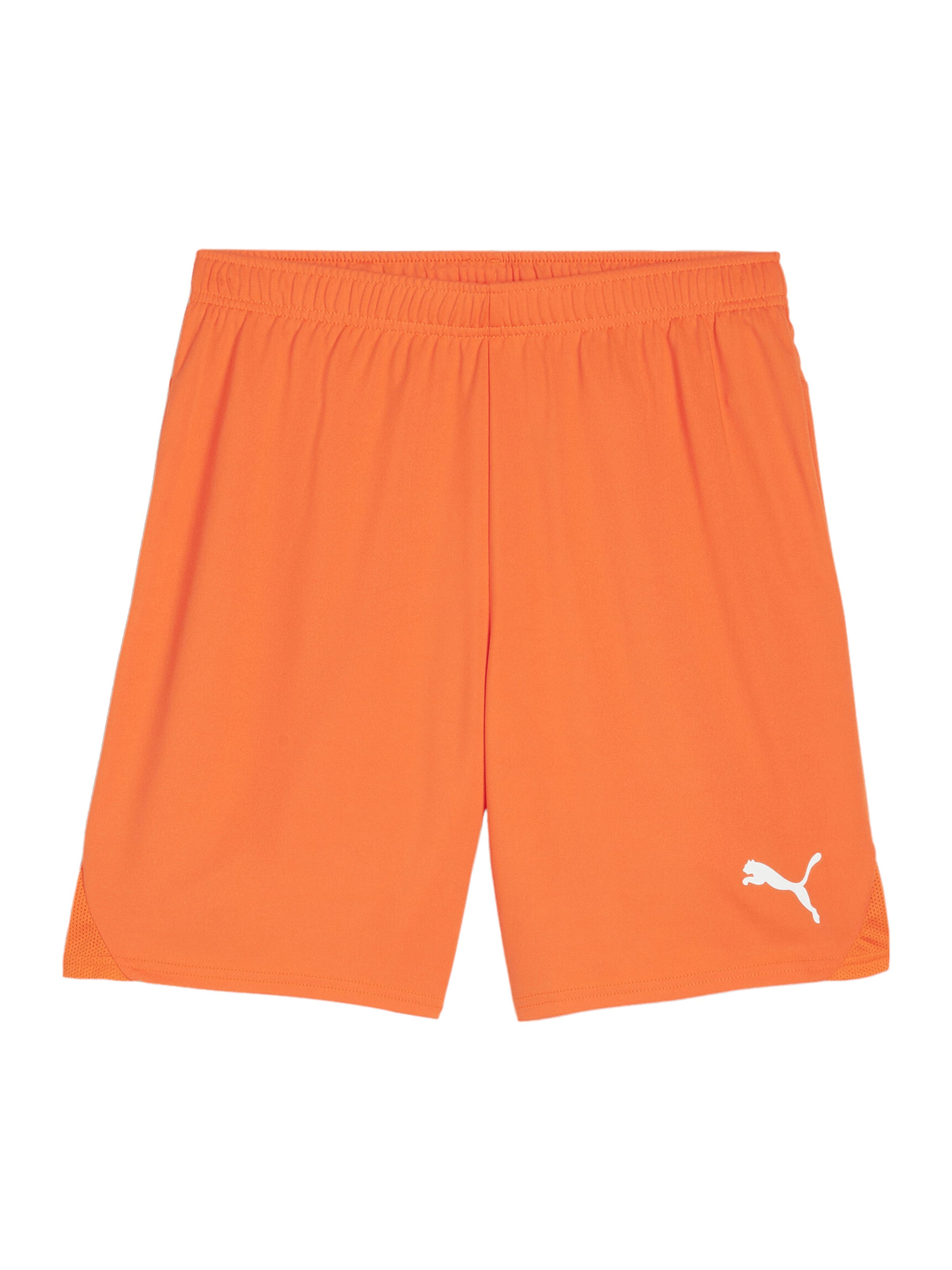 PUMA Sportshorts 'TeamGoal' in Orange: Vorderseite