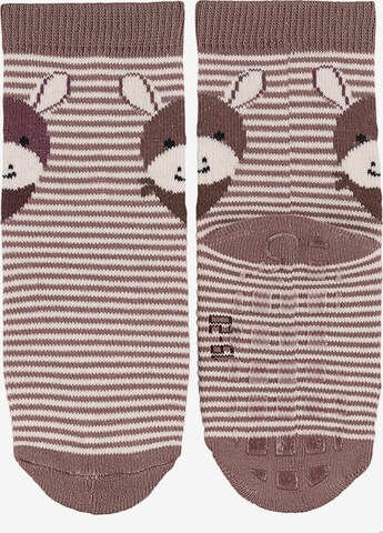 STERNTALER Socks 'Emmi' in Brown: front