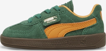PUMA Sneakers 'Palermo ' in Groen: voorkant