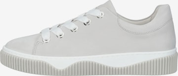 GABOR Sneakers laag in Grijs