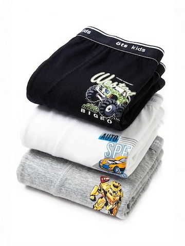 ÖTSGaće 'ÖTS Herren Boxershorts' - miks boja boja