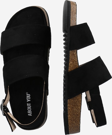 ABOUT YOU Sandals 'Defne' in Black