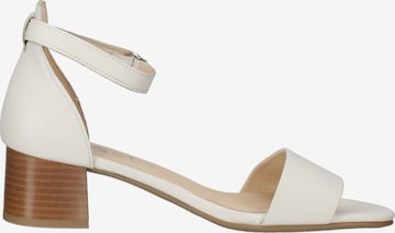 ARA Strap Sandals in Beige