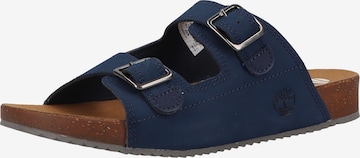 TIMBERLAND Pantoletten in Blue: front