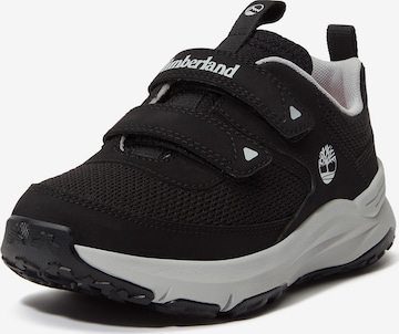 TIMBERLAND Sneaker i svart: framsida
