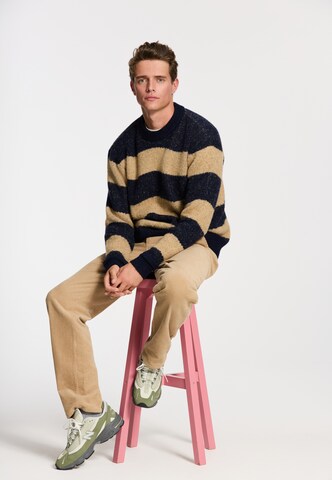Pull-over 'WAVE' Shiwi en beige