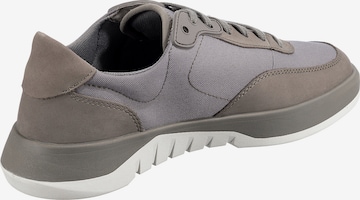 TIMBERLAND Sneakers 'Supaway' in Grey