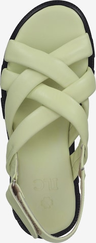 ILC Strap Sandals in Green