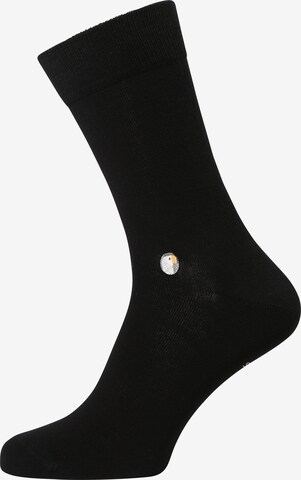 Sokid Socks in Black