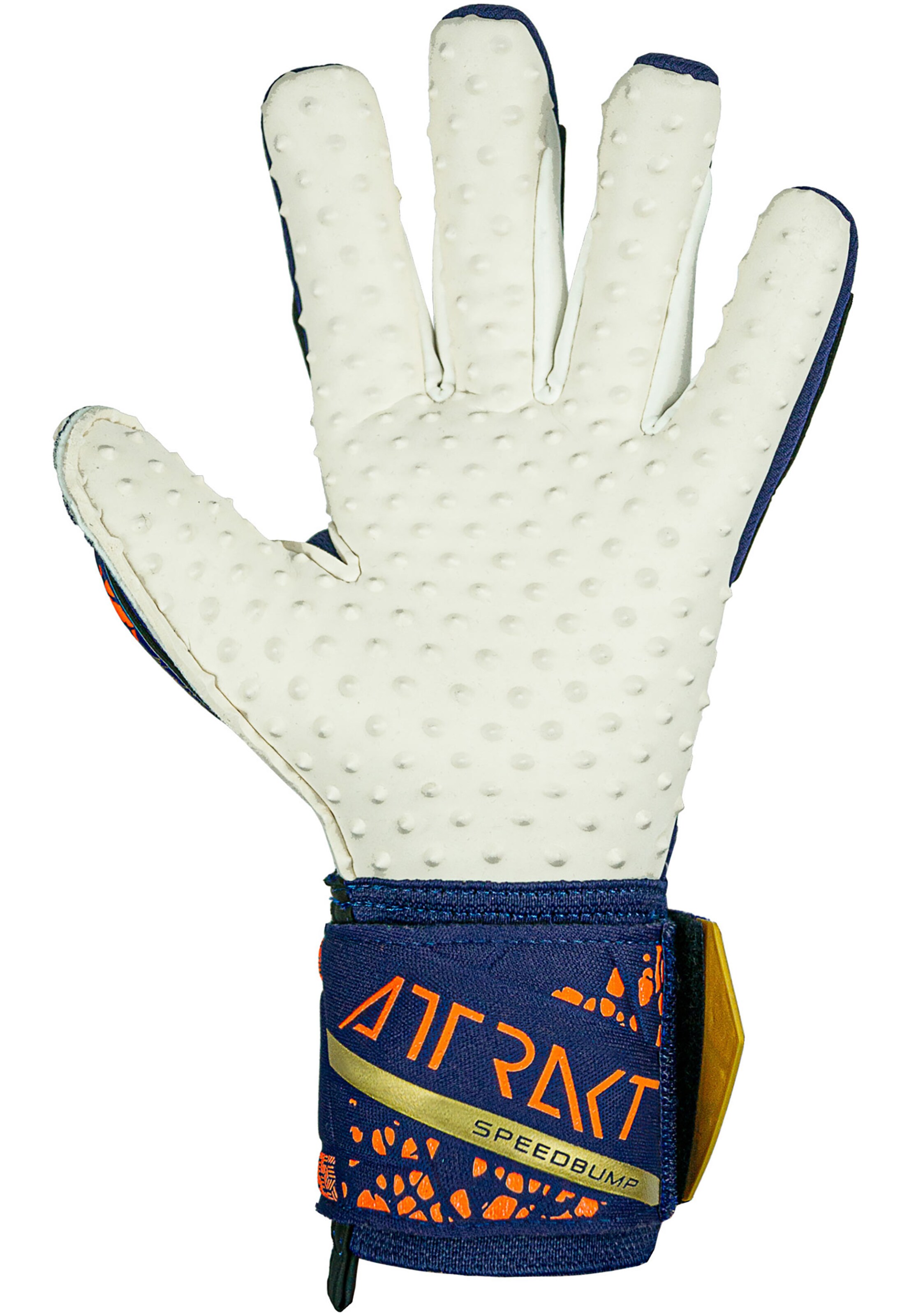 REUSCH Sporthandschoenen 'Attrakt' in Blauw