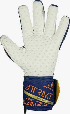 REUSCH Athletic Gloves 'Attrakt' in Blue