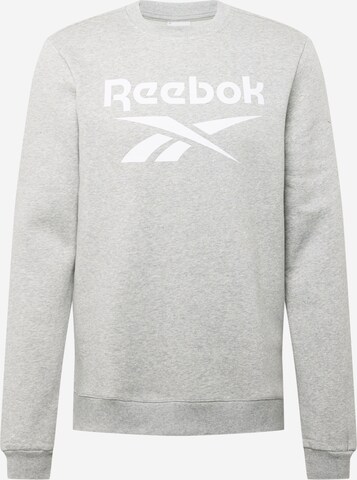 Reebok Sweatshirt in Grijs: voorkant