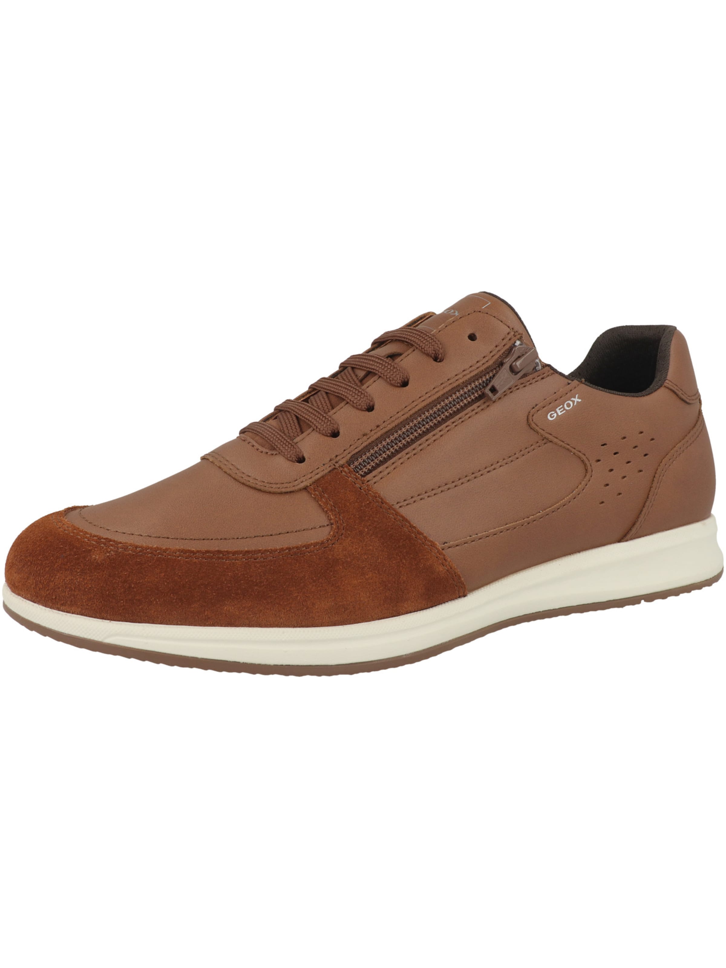 Scarpa stringata sportiva 'U Avery A' di GEOX in marrone: frontale