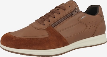 Scarpa stringata sportiva 'U Avery A' di GEOX in marrone: frontale