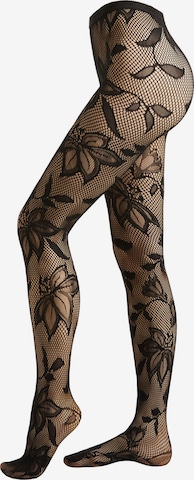 CALZEDONIA Strumpfhose in Schwarz: Vorderseite