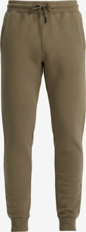Ombre Sports trousers in Green: front