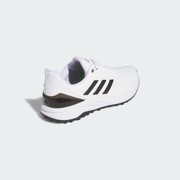 Chaussure de sport ADIDAS PERFORMANCE en blanc