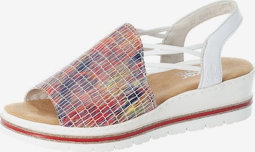 Rieker Sandals in Mixed colors: front