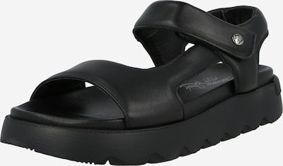 Sandalai 'Bruna B1' iš PANAMA JACK, spalva – juoda, Prekių apžvalga