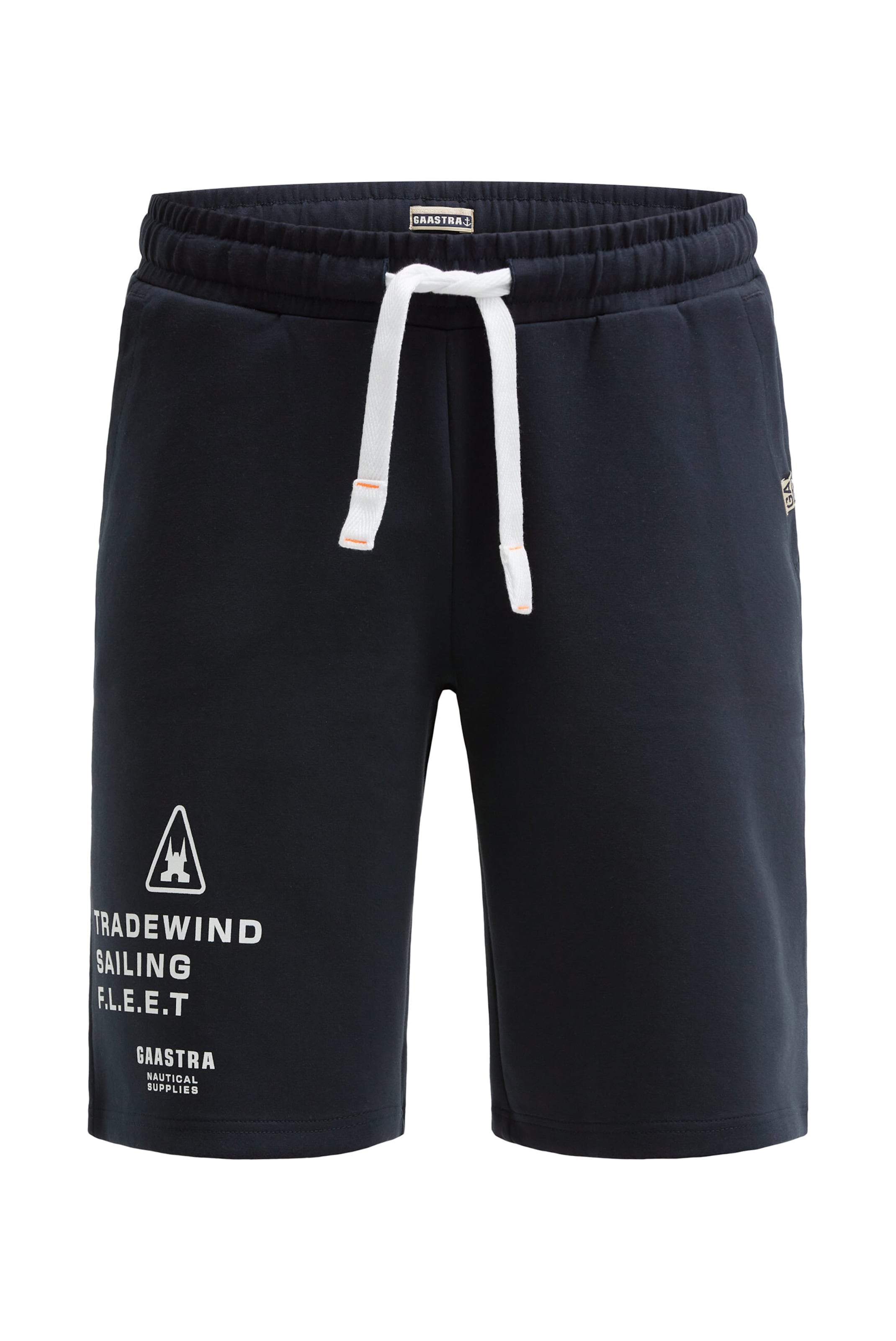 Gaastra Regular Pants in Blue: front