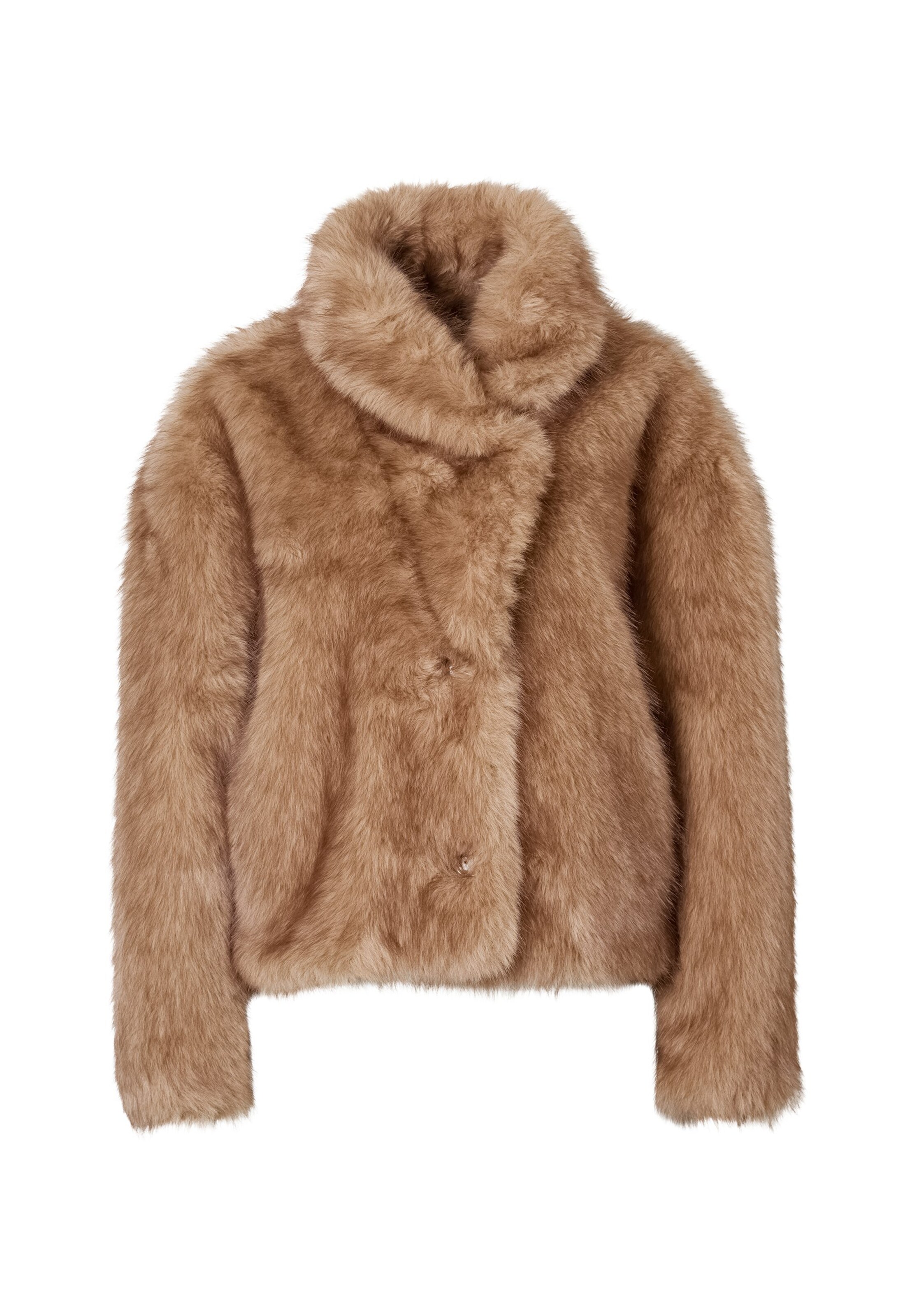 Veste d’hiver OAKWOOD en beige : devant