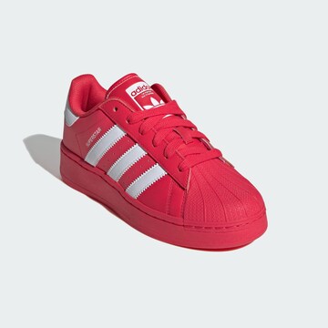 ADIDAS ORIGINALS Sneakers 'Superstar XLG' in Pink