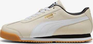 PUMA Sneaker 'Roma 24' in Beige: Vorderseite