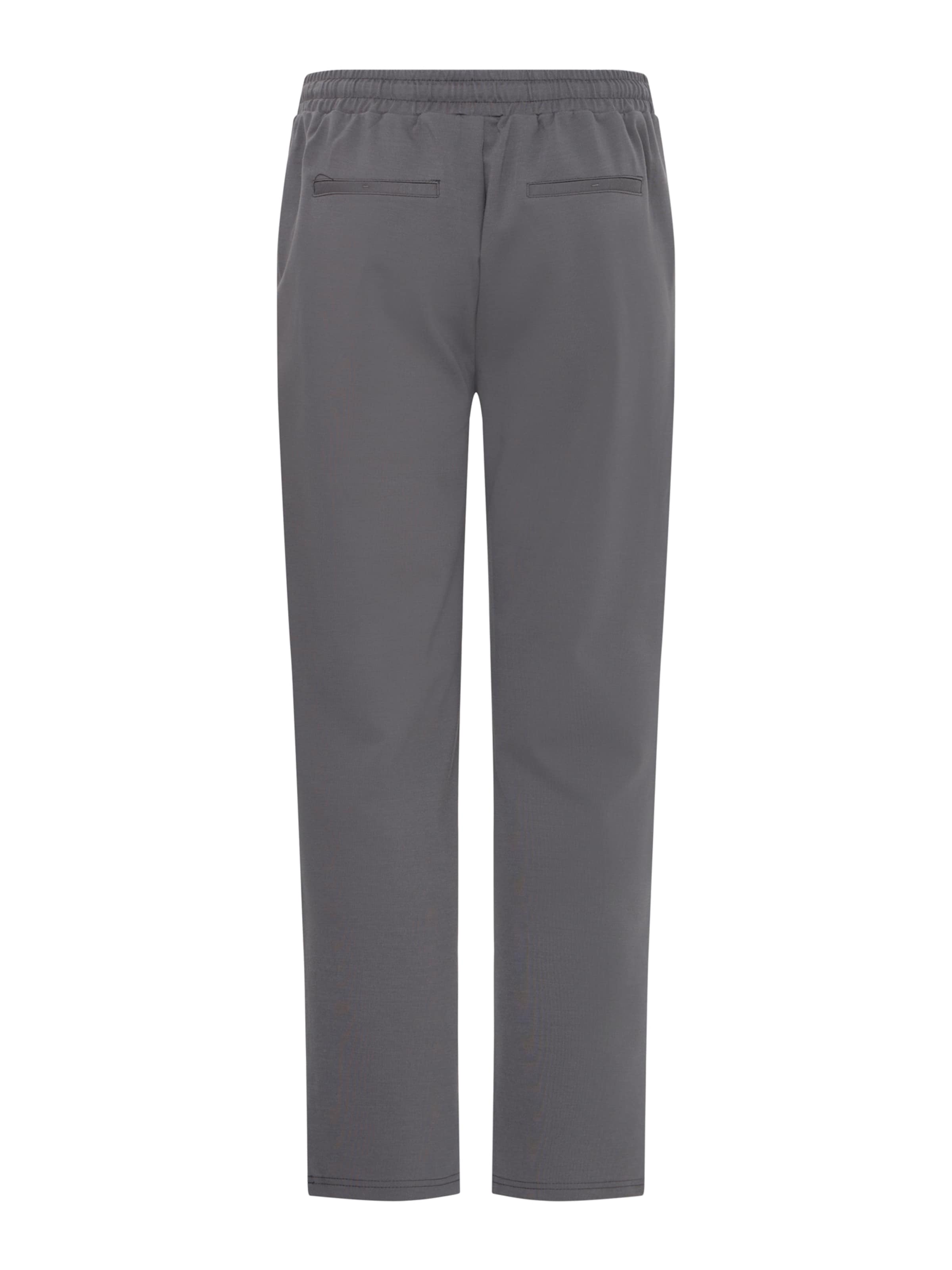 Fransa Regular Hose 'FRZASTRETCH 1' in Grau