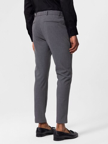 Antioch - Slimfit Calças chino em cinzento