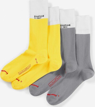 Pantone made by MuseARTa Chaussettes 'Glacier' en citron / gris argenté / blanc, Vue avec produit