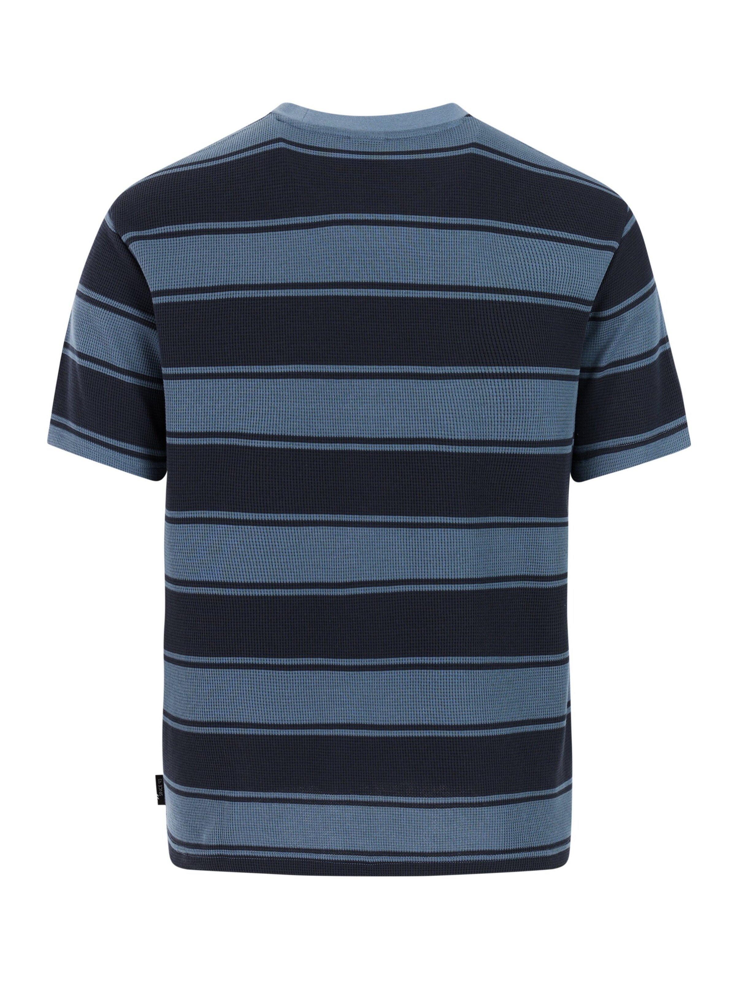 PROTEST Shirt 'PRTBarsby' in Blauw