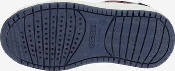 GEOX Sneakers in Wit