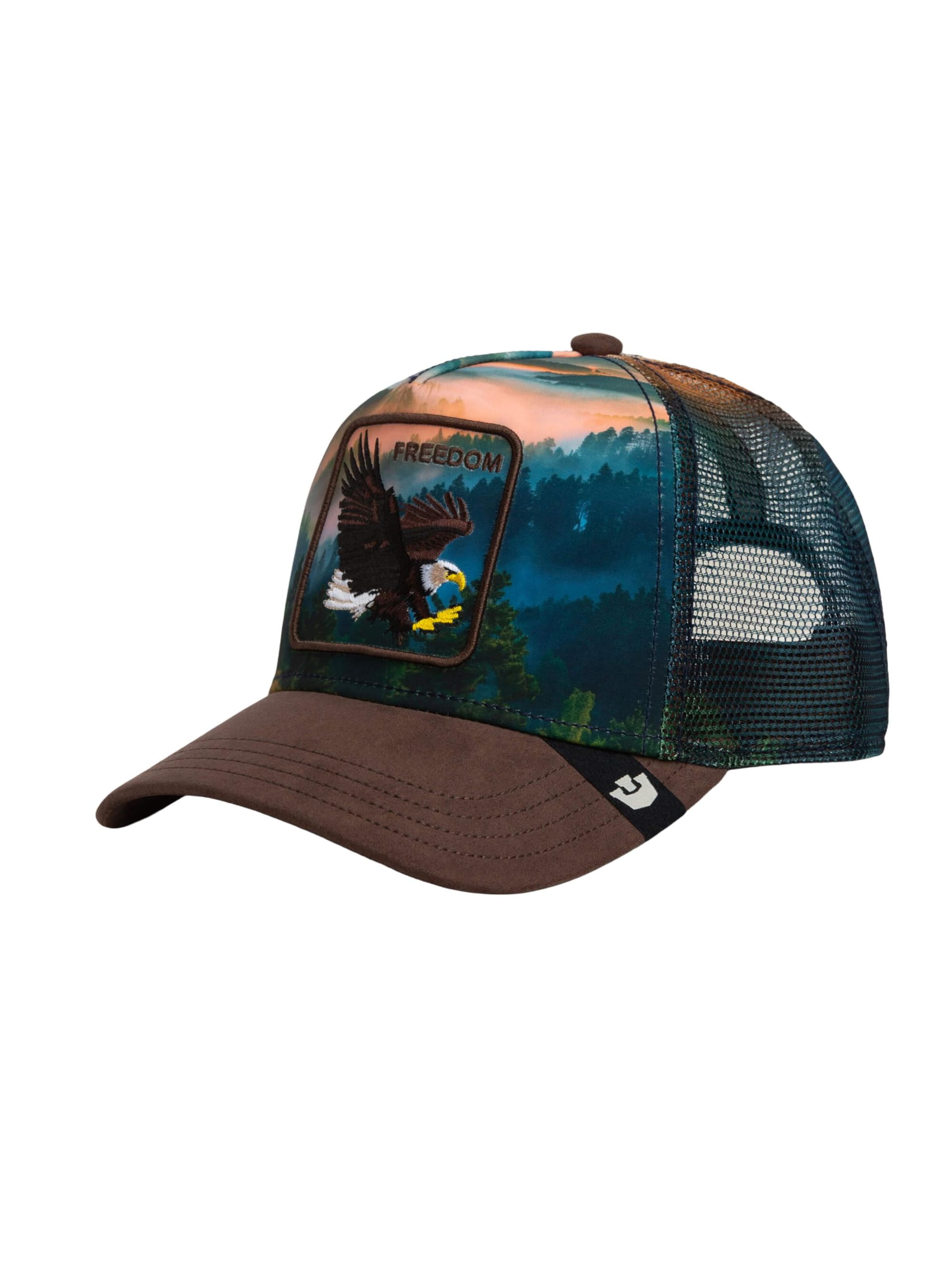 GOORIN Bros. Cap 'Eagle In The Element' in Mixed colors: front