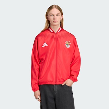 Vestes d’entraînement 'SL Benfica Lissabon Stadion' ADIDAS PERFORMANCE en rouge : devant