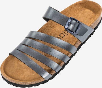Palado Mules 'Roma' in Grey: front